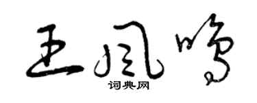 曾慶福王風鳴草書個性簽名怎么寫