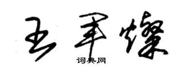 朱錫榮王軍燦草書個性簽名怎么寫