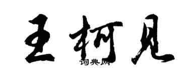 胡問遂王柯見行書個性簽名怎么寫