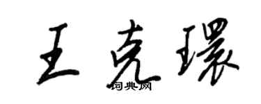 王正良王克環行書個性簽名怎么寫