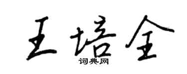 王正良王培全行書個性簽名怎么寫