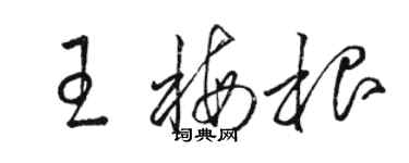 駱恆光王梅根草書個性簽名怎么寫