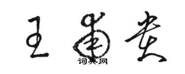 駱恆光王甫貴草書個性簽名怎么寫