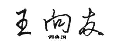 駱恆光王向友行書個性簽名怎么寫