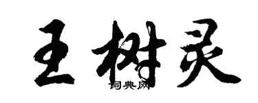 胡問遂王樹靈行書個性簽名怎么寫
