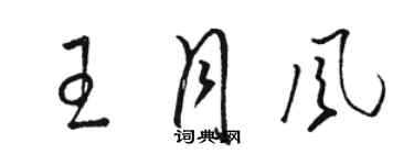 駱恆光王月風草書個性簽名怎么寫