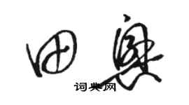 駱恆光田興草書個性簽名怎么寫