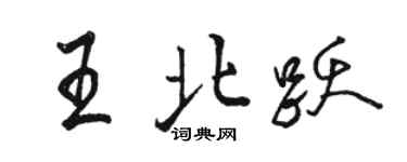 駱恆光王北躍行書個性簽名怎么寫