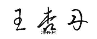 駱恆光王杏丹草書個性簽名怎么寫