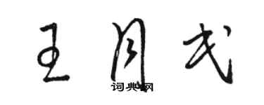 駱恆光王月民草書個性簽名怎么寫