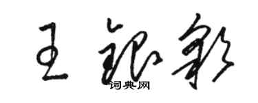 駱恆光王銀彩草書個性簽名怎么寫