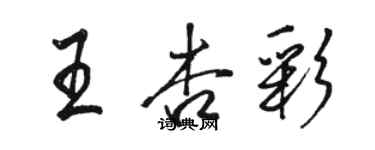 駱恆光王杏彩行書個性簽名怎么寫