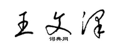 梁錦英王文澤草書個性簽名怎么寫