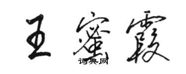 駱恆光王蜜霞行書個性簽名怎么寫