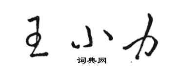 駱恆光王小力草書個性簽名怎么寫