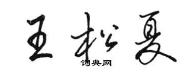 駱恆光王松夏行書個性簽名怎么寫