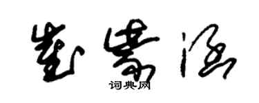 朱錫榮崔紫涵草書個性簽名怎么寫