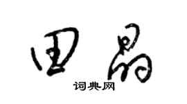 梁錦英田晶草書個性簽名怎么寫