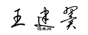 梁錦英王建翼草書個性簽名怎么寫