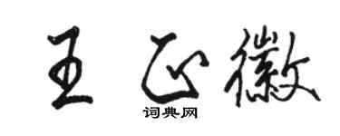 駱恆光王正徽行書個性簽名怎么寫
