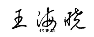 梁錦英王海曉草書個性簽名怎么寫