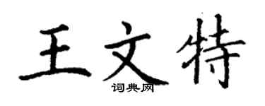 丁謙王文特楷書個性簽名怎么寫