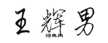 駱恆光王輝男行書個性簽名怎么寫