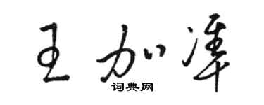 駱恆光王加準草書個性簽名怎么寫
