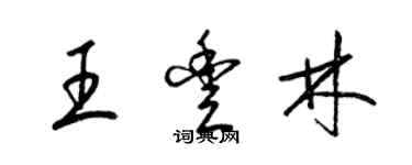 梁錦英王豐林草書個性簽名怎么寫