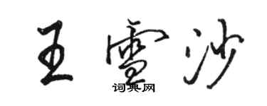 駱恆光王雪沙行書個性簽名怎么寫