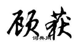 胡問遂顧獲行書個性簽名怎么寫