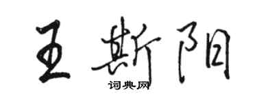 駱恆光王斯陽行書個性簽名怎么寫