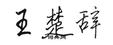 駱恆光王楚辭行書個性簽名怎么寫