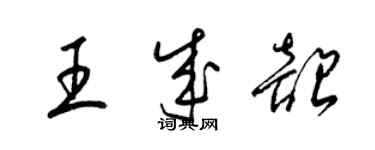 梁錦英王成韶草書個性簽名怎么寫