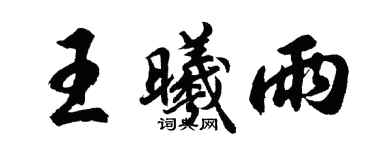 胡問遂王曦雨行書個性簽名怎么寫