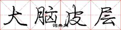 龐中華大腦皮層行書怎么寫