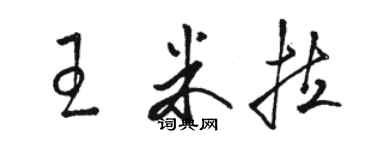 駱恆光王米拉草書個性簽名怎么寫