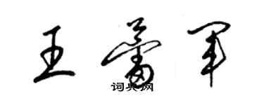 梁錦英王蕾軍草書個性簽名怎么寫