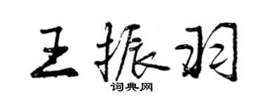 曾慶福王振羽行書個性簽名怎么寫