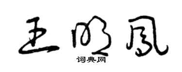 曾慶福王明鳳草書個性簽名怎么寫