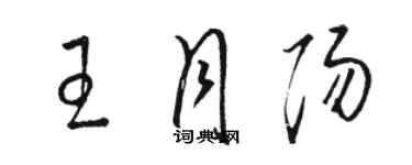 駱恆光王月陽草書個性簽名怎么寫