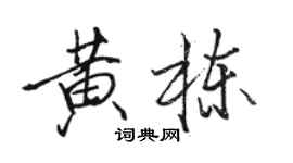駱恆光黃棟行書個性簽名怎么寫