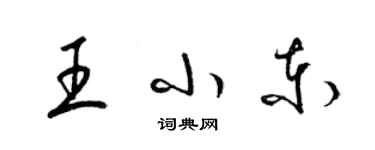 梁錦英王小東草書個性簽名怎么寫