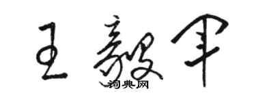 駱恆光王毅軍草書個性簽名怎么寫