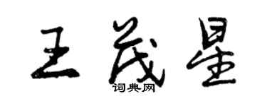 曾慶福王茂星行書個性簽名怎么寫