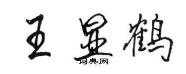 駱恆光王顯鶴行書個性簽名怎么寫