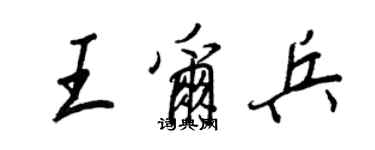 王正良王爾兵行書個性簽名怎么寫