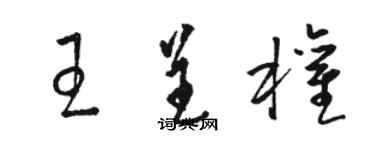 駱恆光王呈權草書個性簽名怎么寫