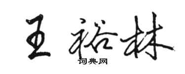 駱恆光王裕林行書個性簽名怎么寫