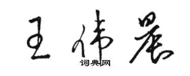 駱恆光王偉晨草書個性簽名怎么寫